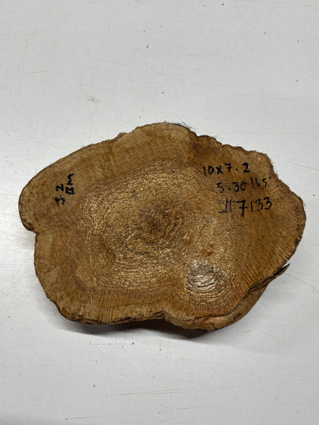 Brown Mallee Burl Blank 10" x 7" x 2" 5.3 Lbs #7133 - Exotic Wood Zone