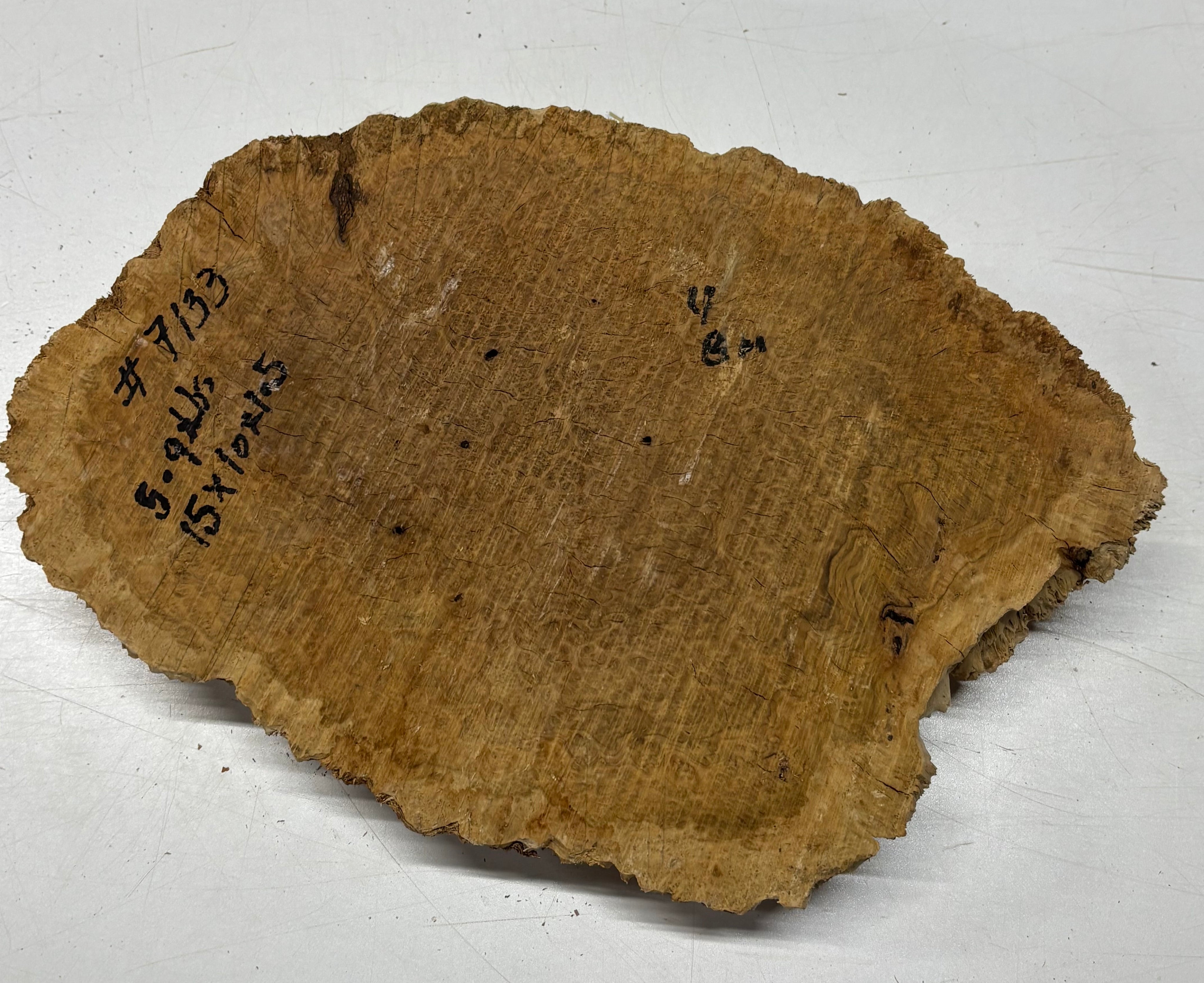 Brown Mallee Burl Blank 15" x 10" x 1.5" 5.9 Lbs #7133 - Exotic Wood Zone