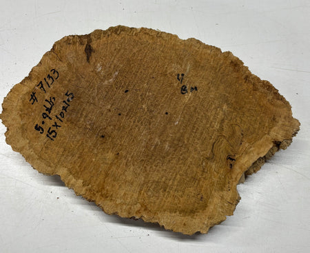 Brown Mallee Burl Blank 15" x 10" x 1.5" 5.9 Lbs #7133 - Exotic Wood Zone