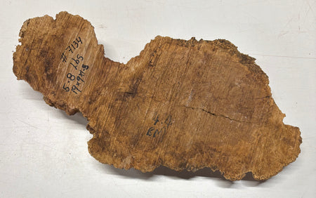 Brown Mallee Burl Blank 19" x 9" x 1.5" 5.8 Lbs #7134 - Exotic Wood Zone