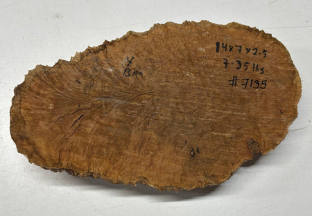 Brown Mallee Burl Blank 14" x 7" x 2.5" 7.35 Lbs #7135 - Exotic Wood Zone