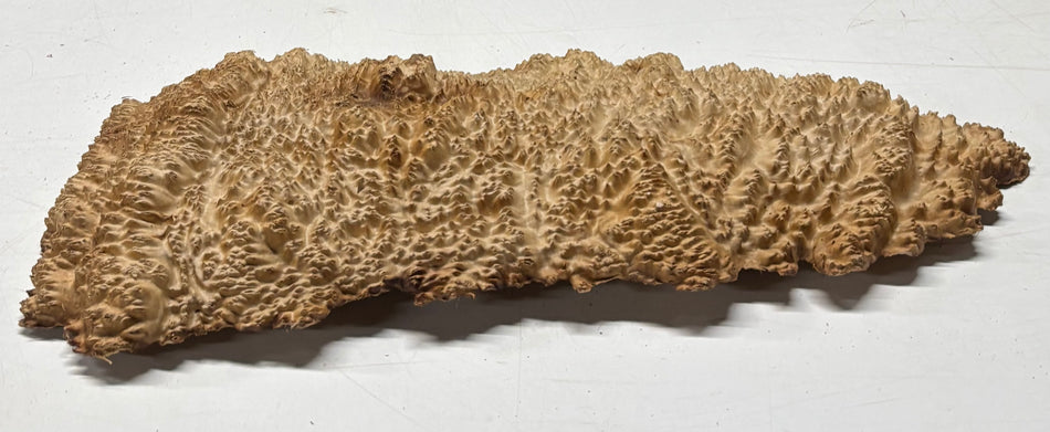 Brown Mallee Burl Blank 16" x 6" x 1.5" 5.3 Lbs #7136