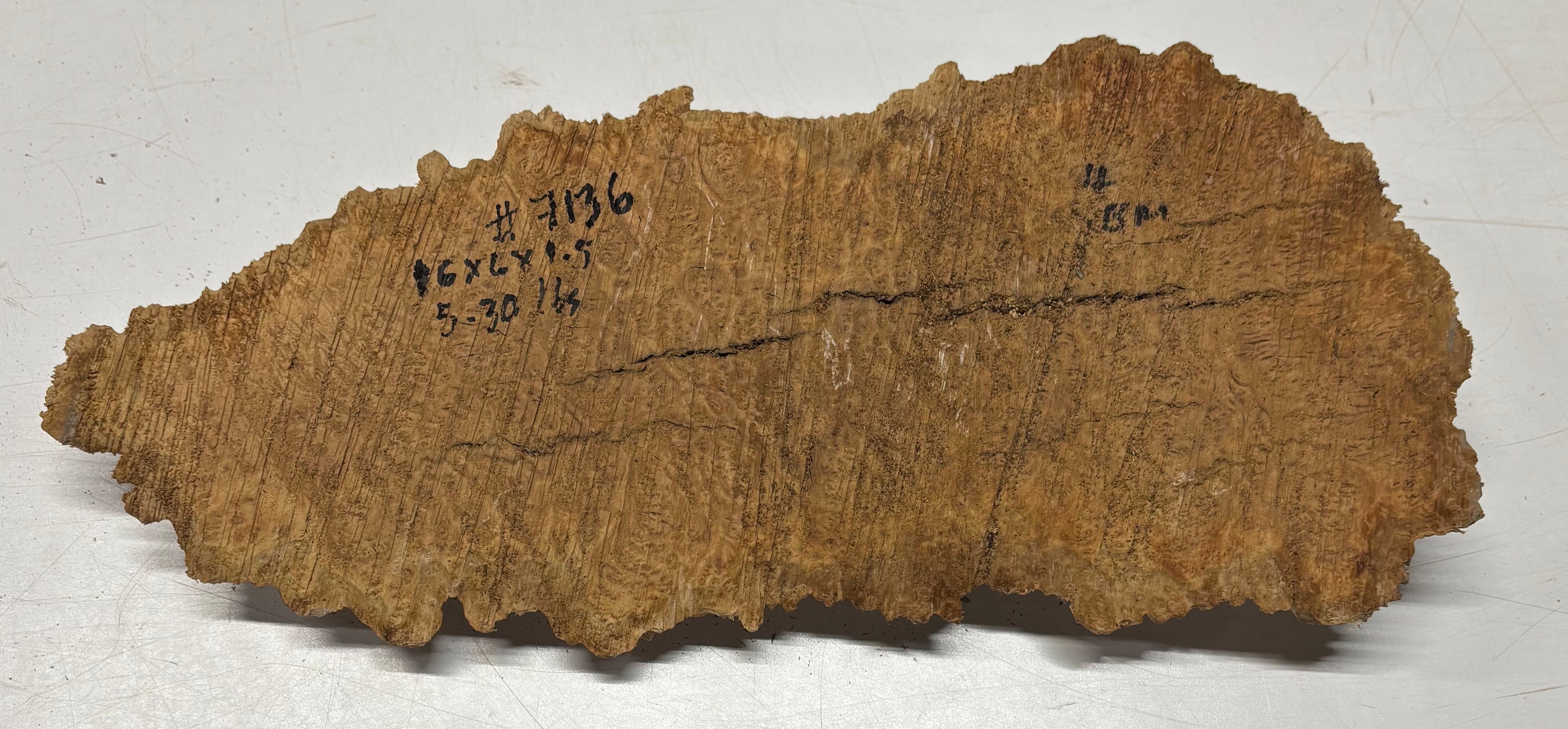 Brown Mallee Burl Blank 16" x 6" x 1.5" 5.3 Lbs #7136 - Exotic Wood Zone