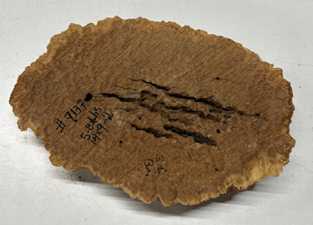 Brown Mallee Burl Blank 14" x 9" x 2" 5.8 Lbs #7137 - Exotic Wood Zone