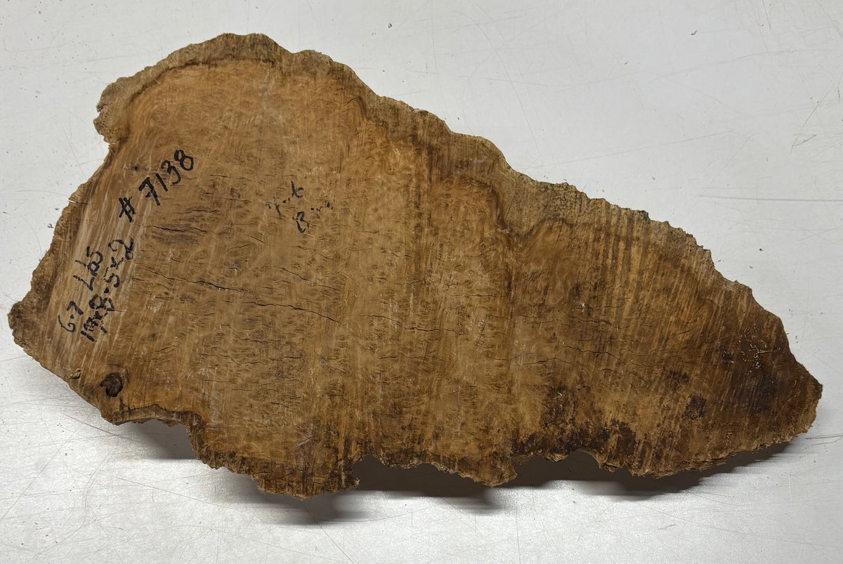 Brown Mallee Burl Blank 19" x 8.5" x 2" 6.7 Lbs #7138 - Exotic Wood Zone
