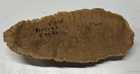 Brown Mallee Burl Blank 15" x 5" x 2.5" 5.95 Lbs #7140 - Exotic Wood Zone