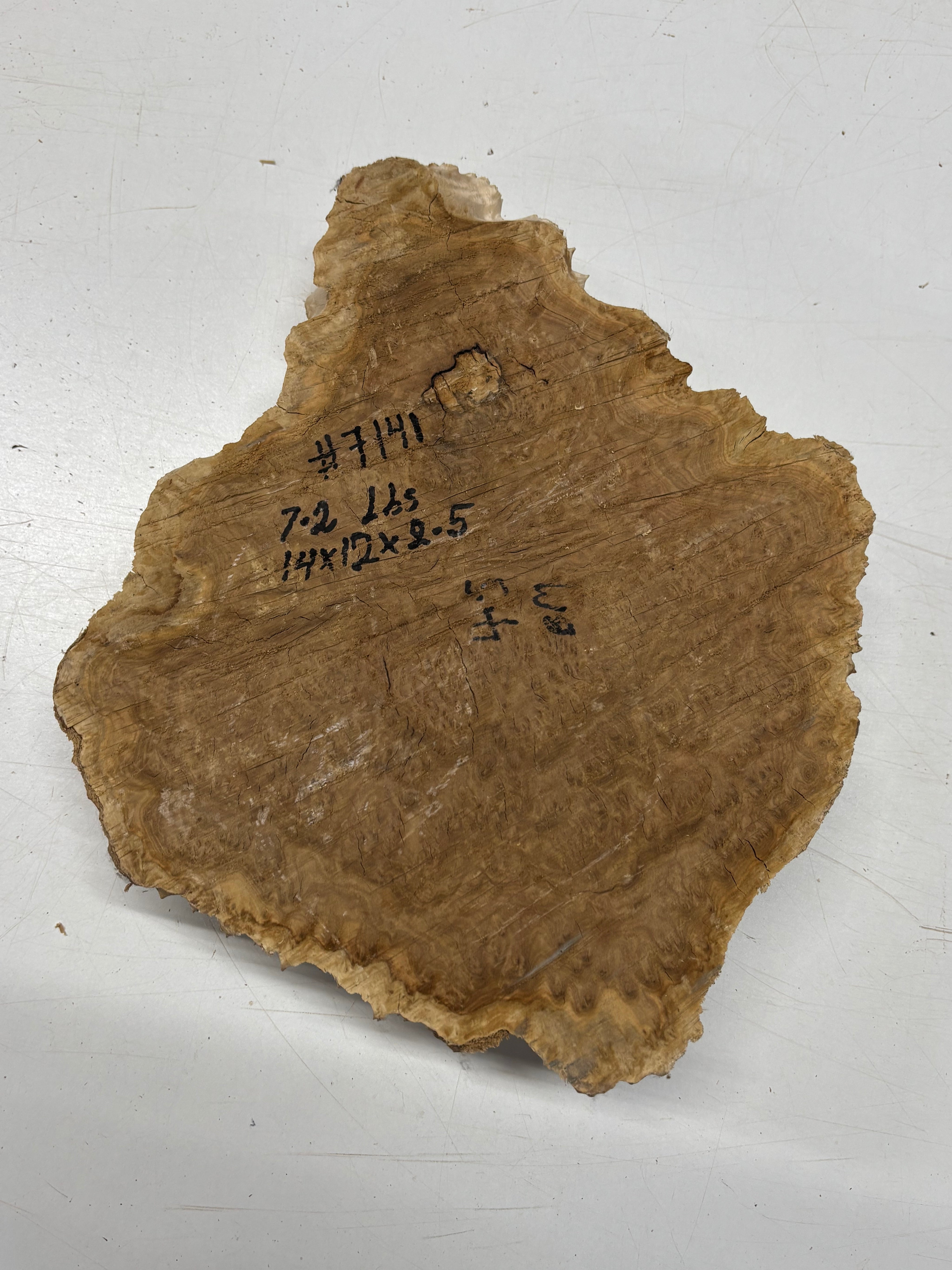 Brown Mallee Burl Blank 14" x 12" x 2.5" 7.2 Lbs #7141 - Exotic Wood Zone