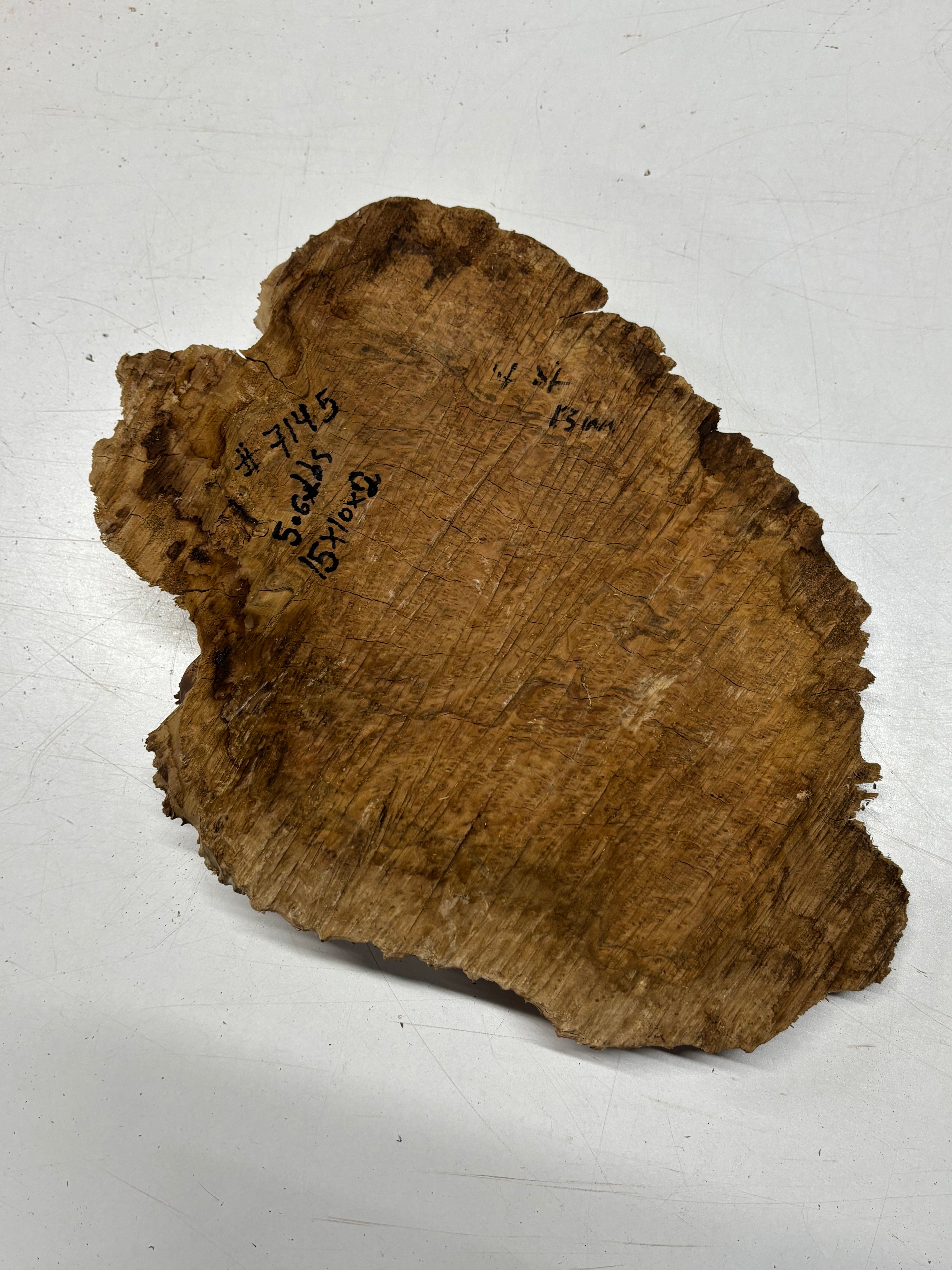Brown Mallee Burl Blank 15" x 10" x 2" 5.6 Lbs #7145 - Exotic Wood Zone