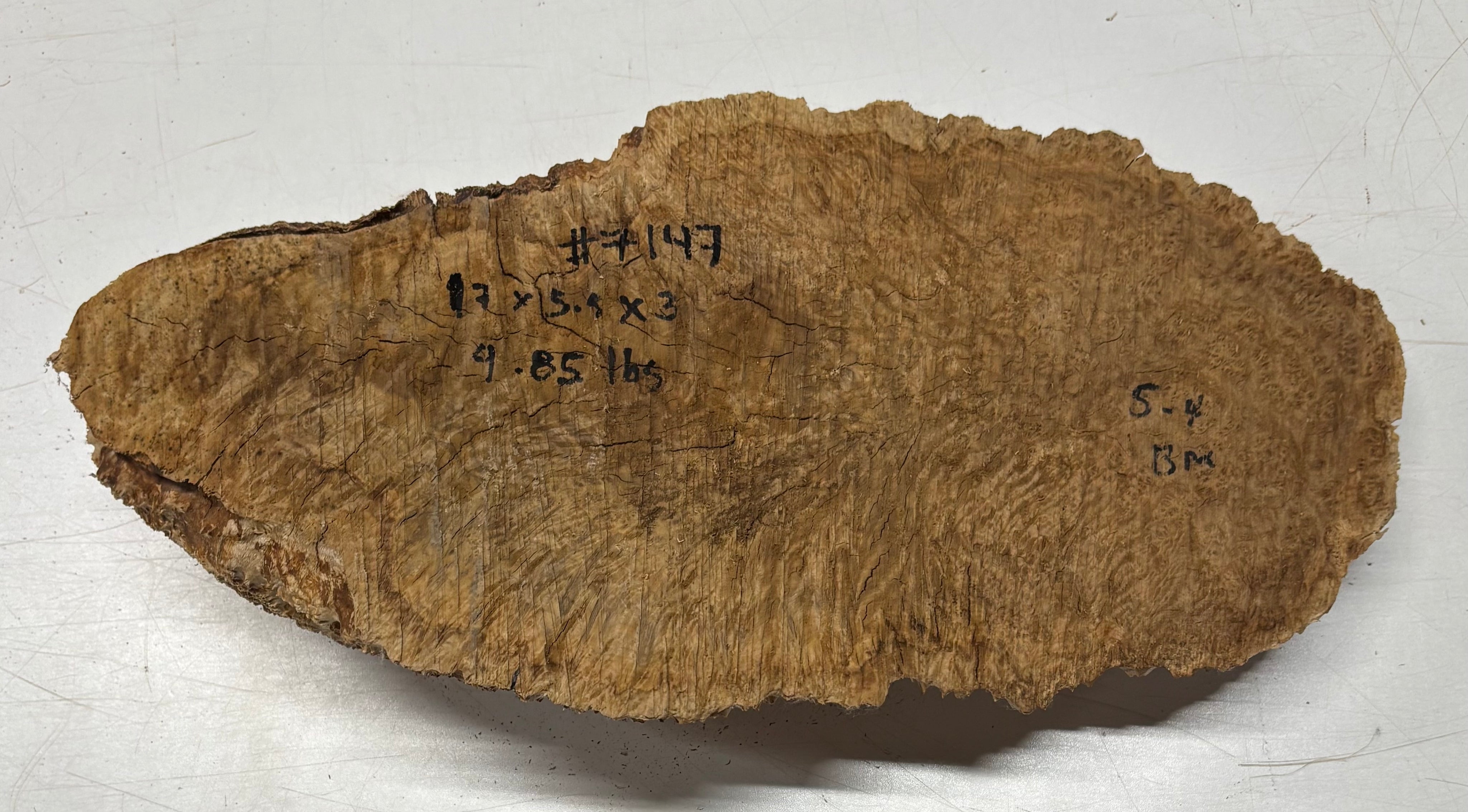 Brown Mallee Burl Blank 17" x 5.5" x 3" 4.85 Lbs #7147 - Exotic Wood Zone