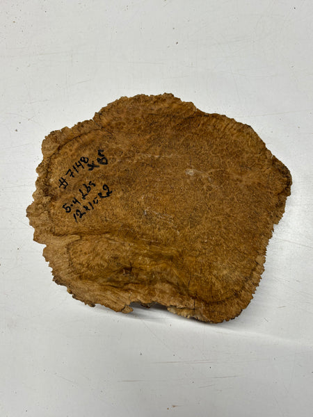 Brown Mallee Burl Blank 12" x 10" x 2" 5.4 Lbs #7148 - Exotic Wood Zone