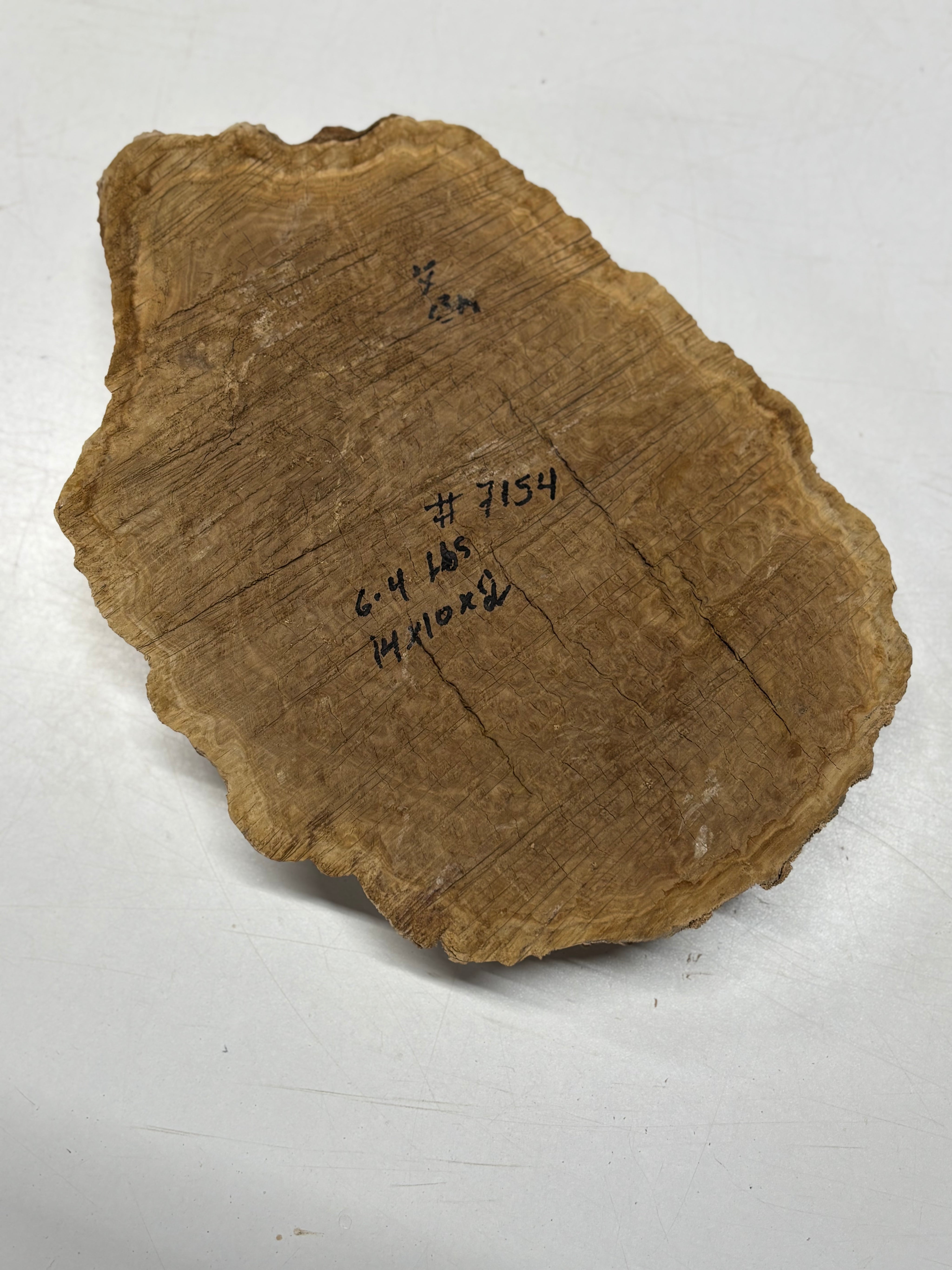 Brown Mallee Burl Blank 14" x 10" x 2" 6.4 Lbs #7154 - Exotic Wood Zone