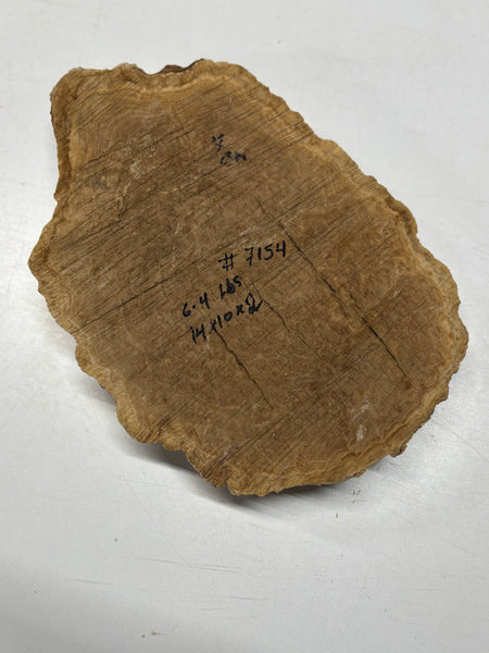 Brown Mallee Burl Blank 14" x 10" x 2" 6.4 Lbs #7154 - Exotic Wood Zone