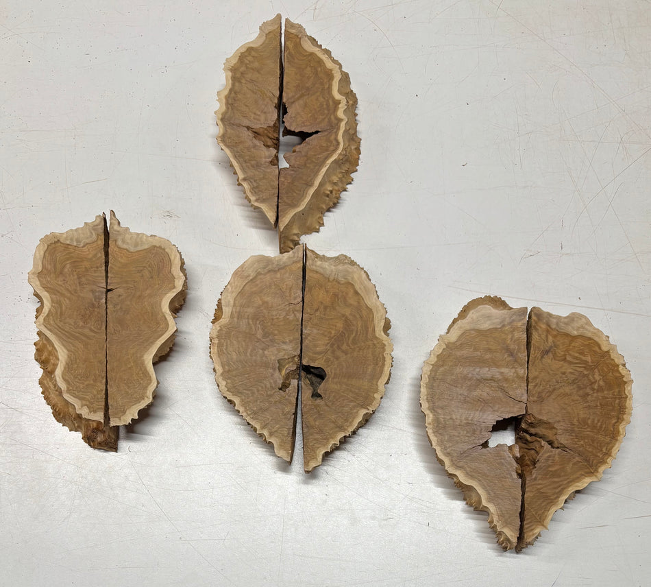 Box of Australian Brown Mallee Burl Cutoffs - Bookmatched Pieces