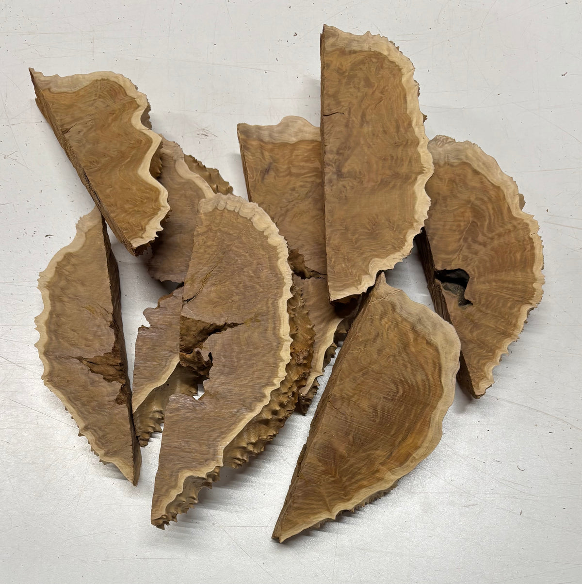 Box of Australian Brown Mallee Burl Cutoffs - Bookmatched Pieces - Exotic Wood Zone