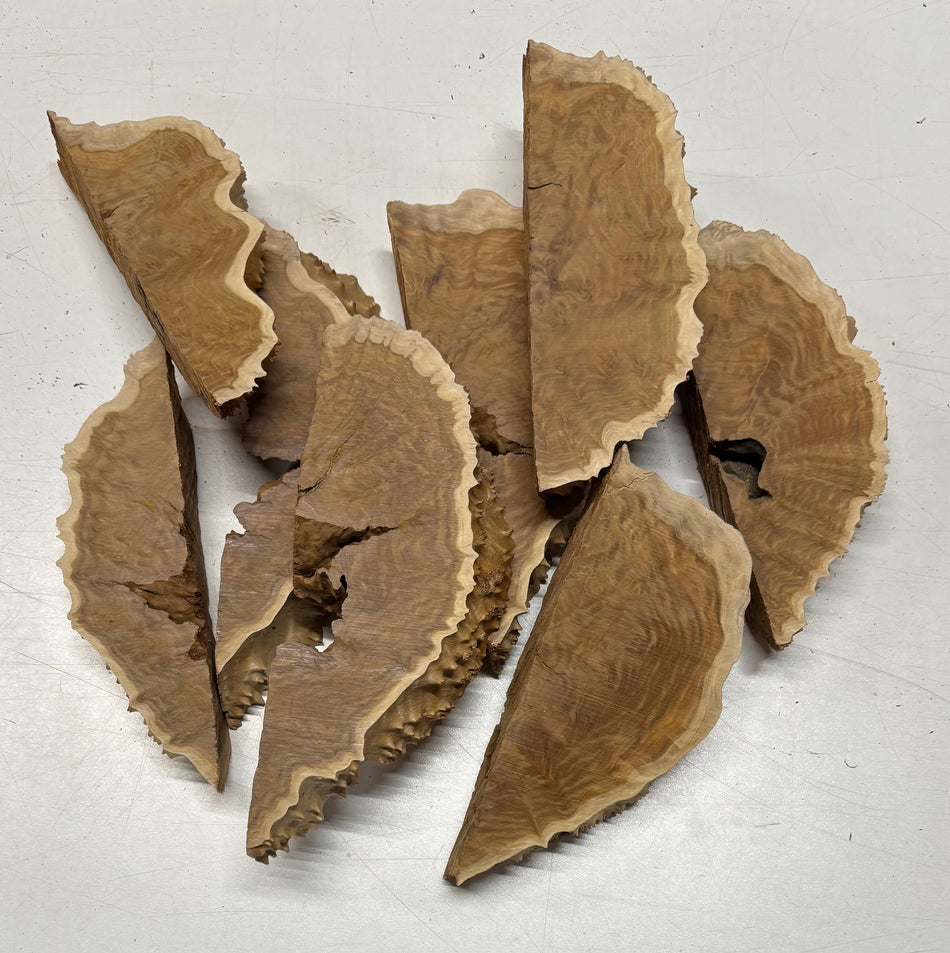 Box of Australian Brown Mallee Burl Cutoffs - Bookmatched Pieces
