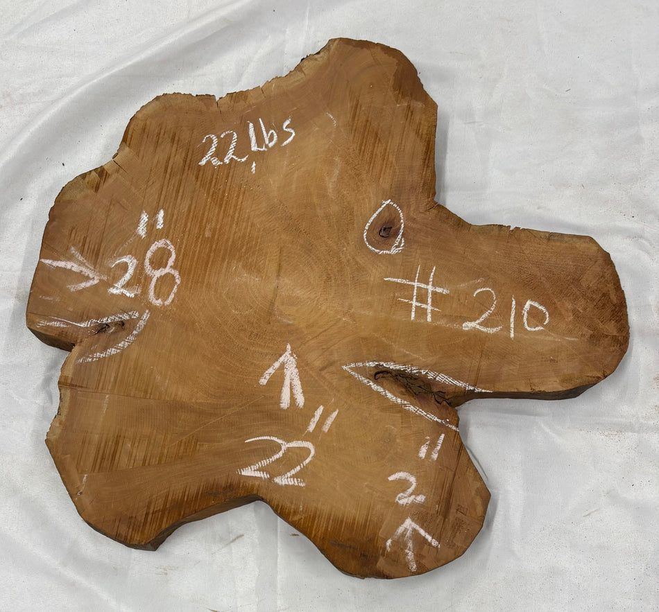 Mahogany Live Edge Slab/Cookies - 28" x 22" x 2" #210