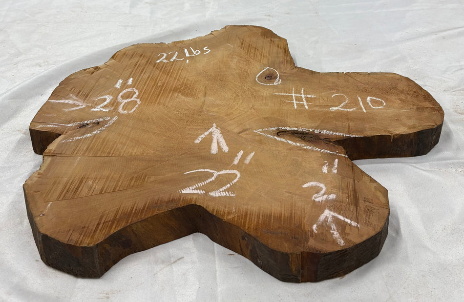 Mahogany Live Edge Slab/Cookies - 28" x 22" x 2" #210