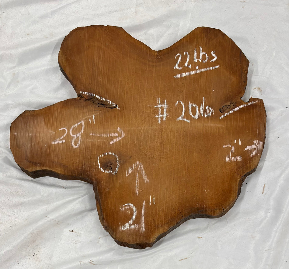 Mahogany Live Edge Slab/Cookies - 28" x 21" x 2" #206