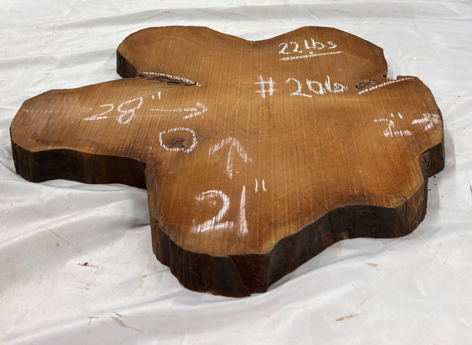 Mahogany Live Edge Slab/Cookies - 28" x 21" x 2" #206