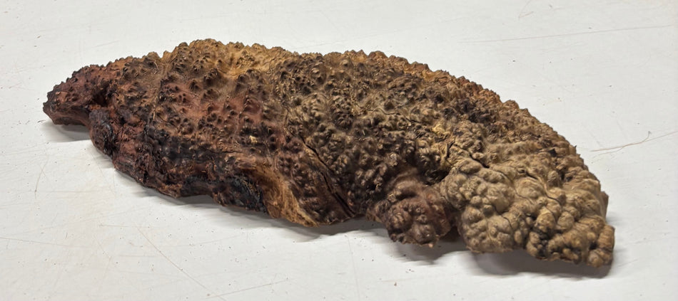 Black Mallee Burl Cap- 16-1/2" x 7" x 3" #90