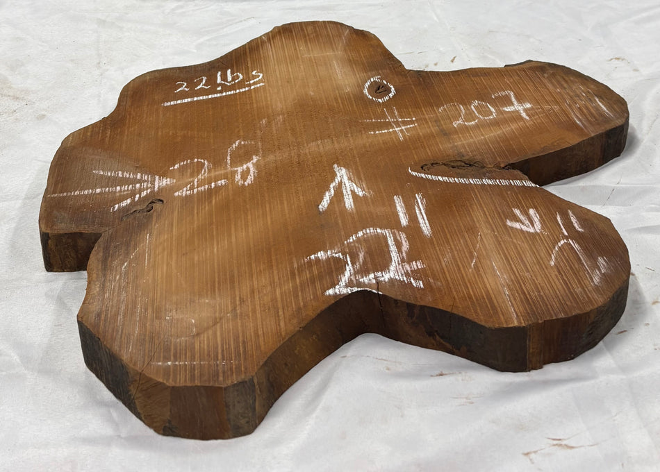 Mahogany Live Edge Slab/Cookies - 28" x 22" x 2" #207