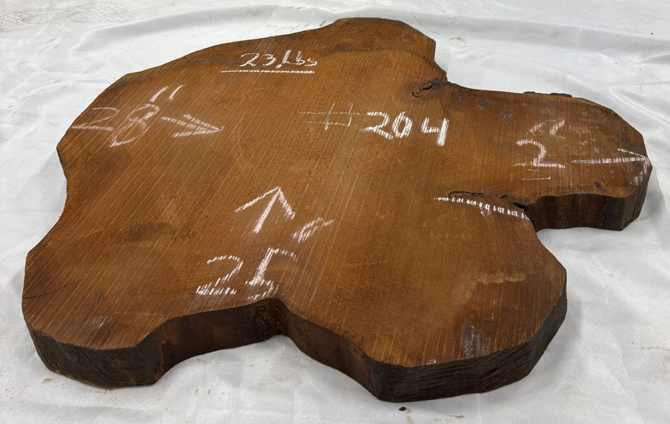 Mahogany Live Edge Slab/Cookies - 28" x 25" x 2" #204