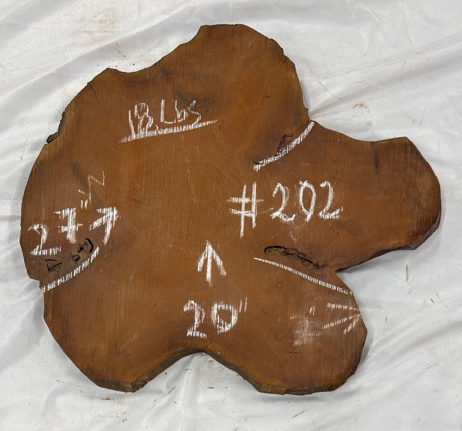 Mahogany Live Edge Slab/Cookies - 27" x 20" x 2" #202