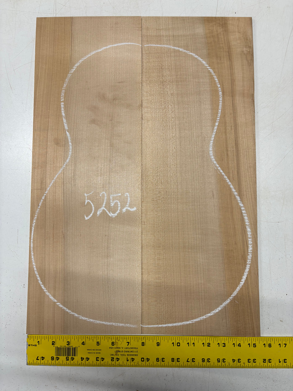 Hard Maple Guitar Back Classical (Unmatched)  22"x7-3/4"x1/8" #5252