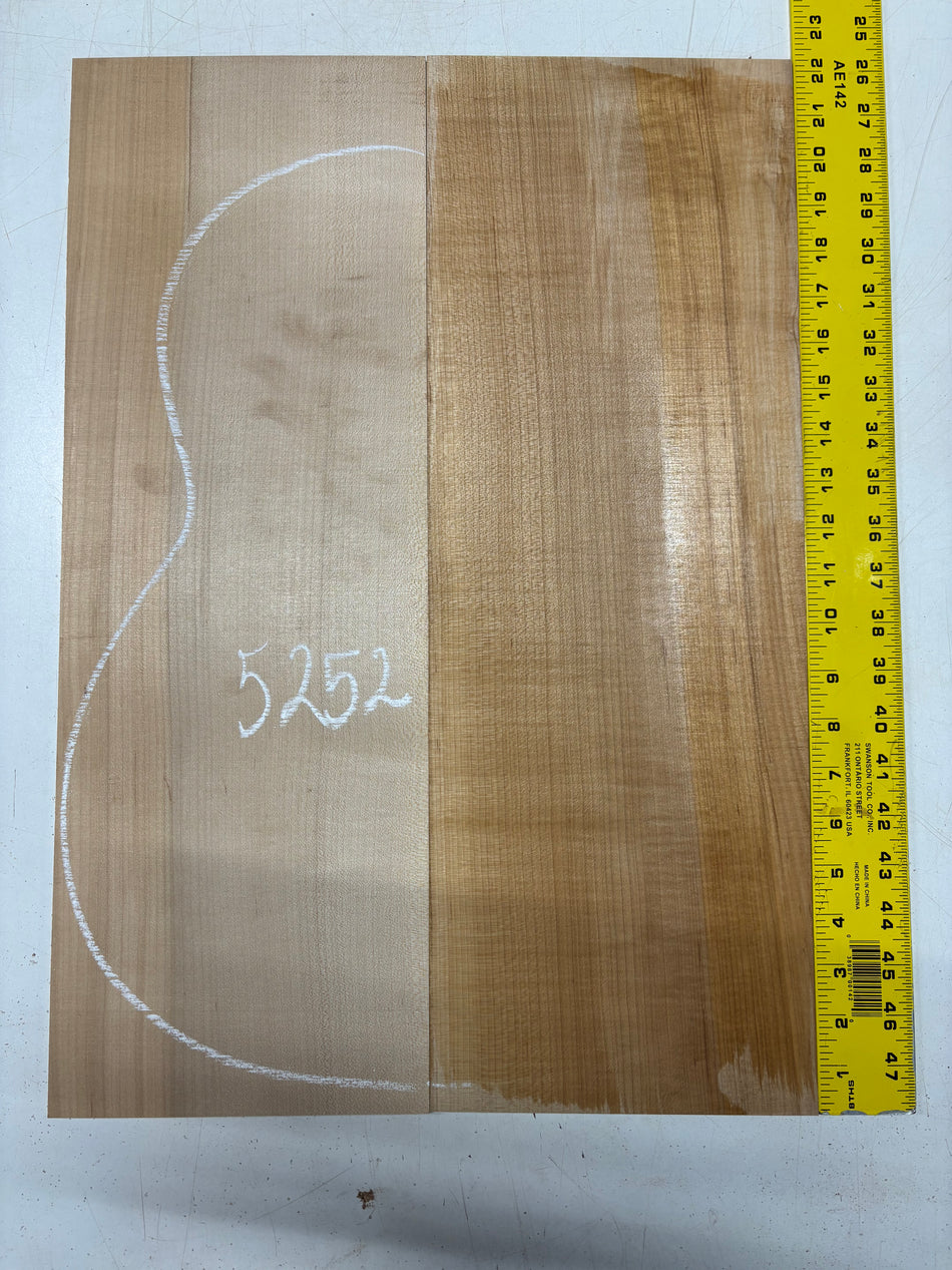 Hard Maple Guitar Back Classical (Unmatched)  22"x7-3/4"x1/8" #5252