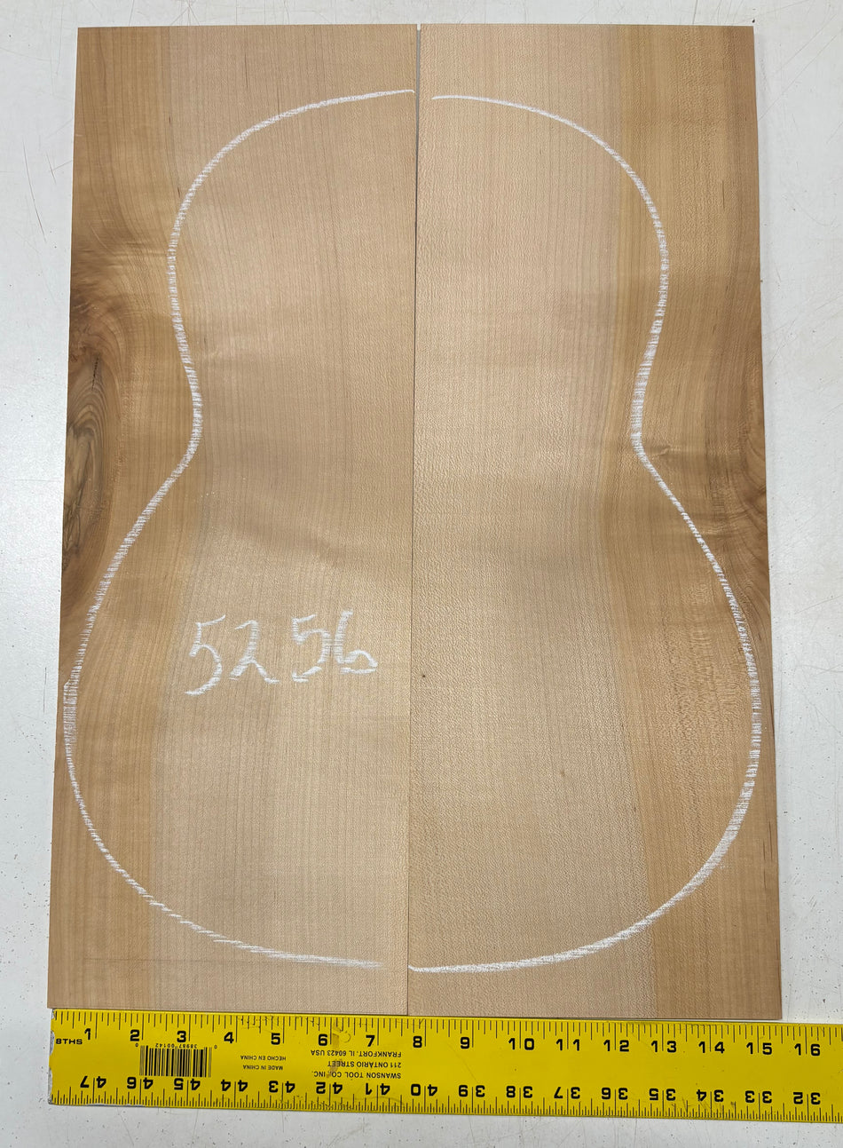 Hard Maple Guitar Back Classical (Unmatched)  22"x7-3/4"x1/8" #5256