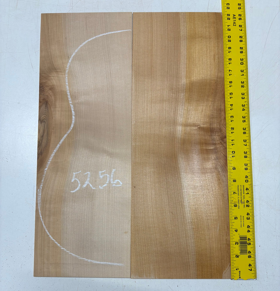Hard Maple Guitar Back Classical (Unmatched)  22"x7-3/4"x1/8" #5256