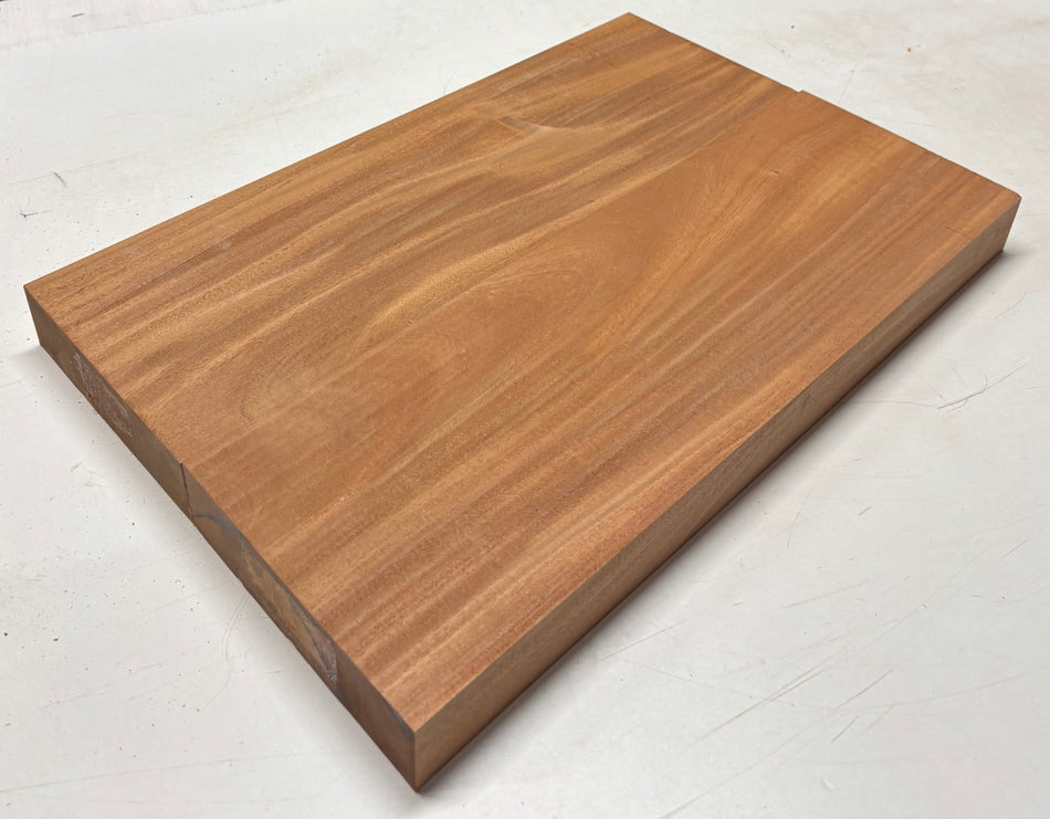 Premium Mahogany Guitar Body Blank - 21-7/8" x 14-1/2" x 2" (2 Piece Glued) #362