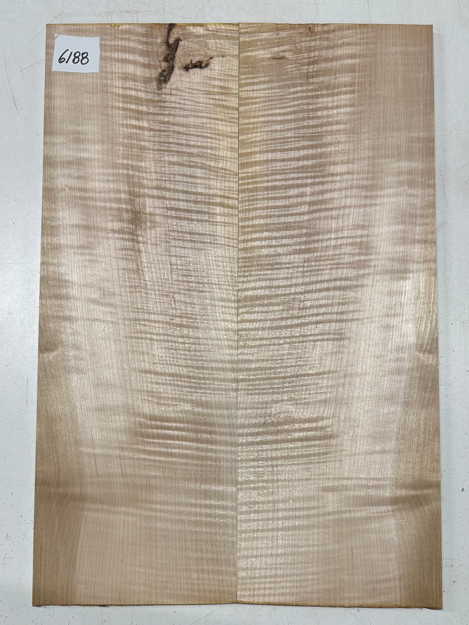 Flame Hard Maple Drop Top  21"x7"x3/8"#6188