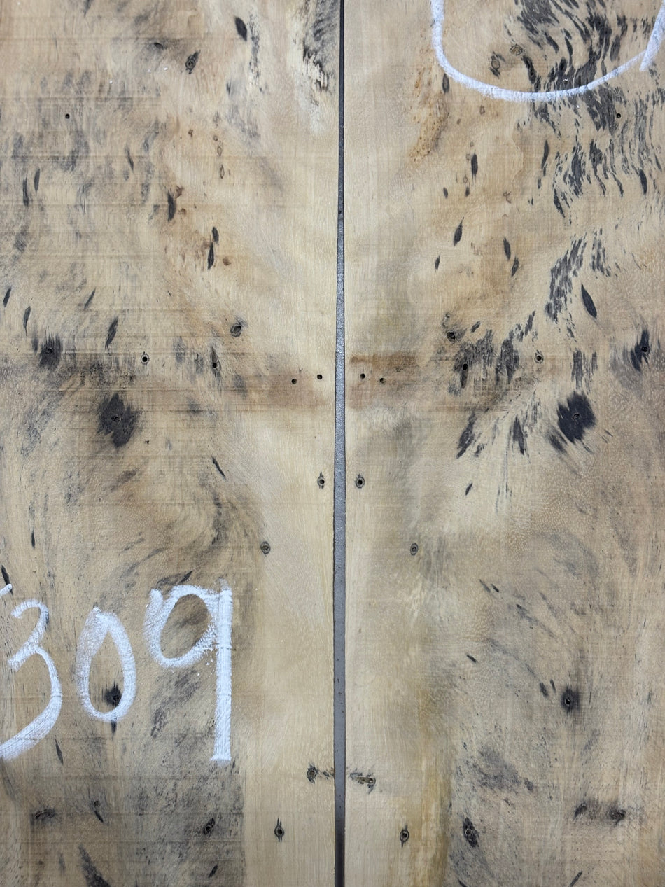 Spalted Tamarind Drop Top 22"x7-3/8"x3/8"#5309