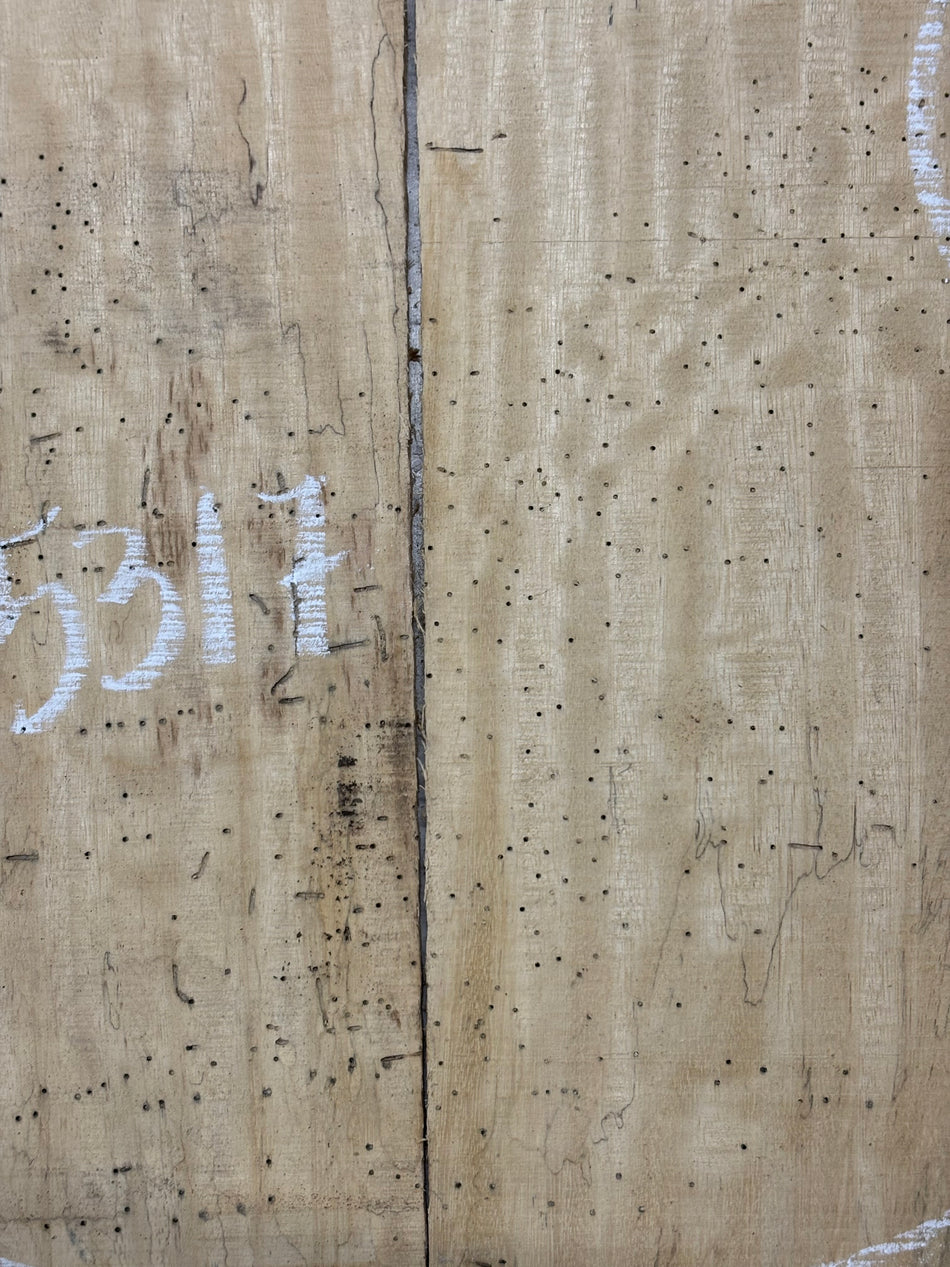 Spalted Tamarind Drop Top 22"x7-3/8"x3/8"#5317