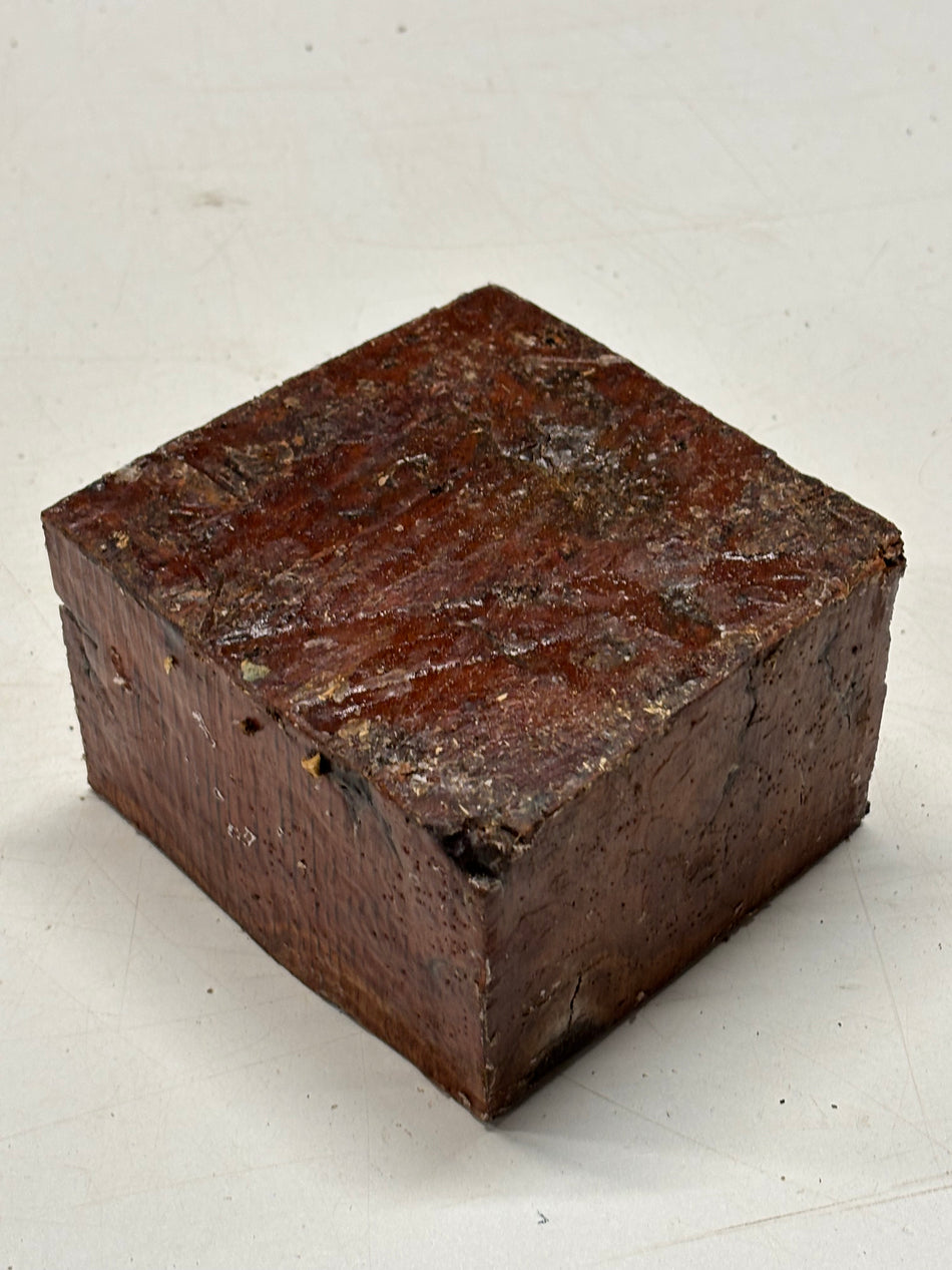 Molinillo de pimienta australiano Red Mallee en blanco 12" x 3" x 3", #23
