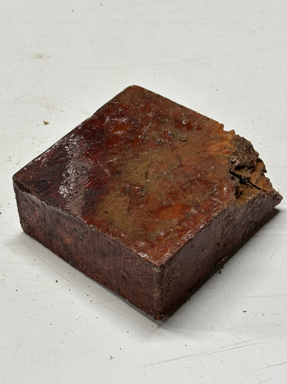 Molinillo de pimienta australiano Red Mallee en blanco 12" x 3" x 3", #23