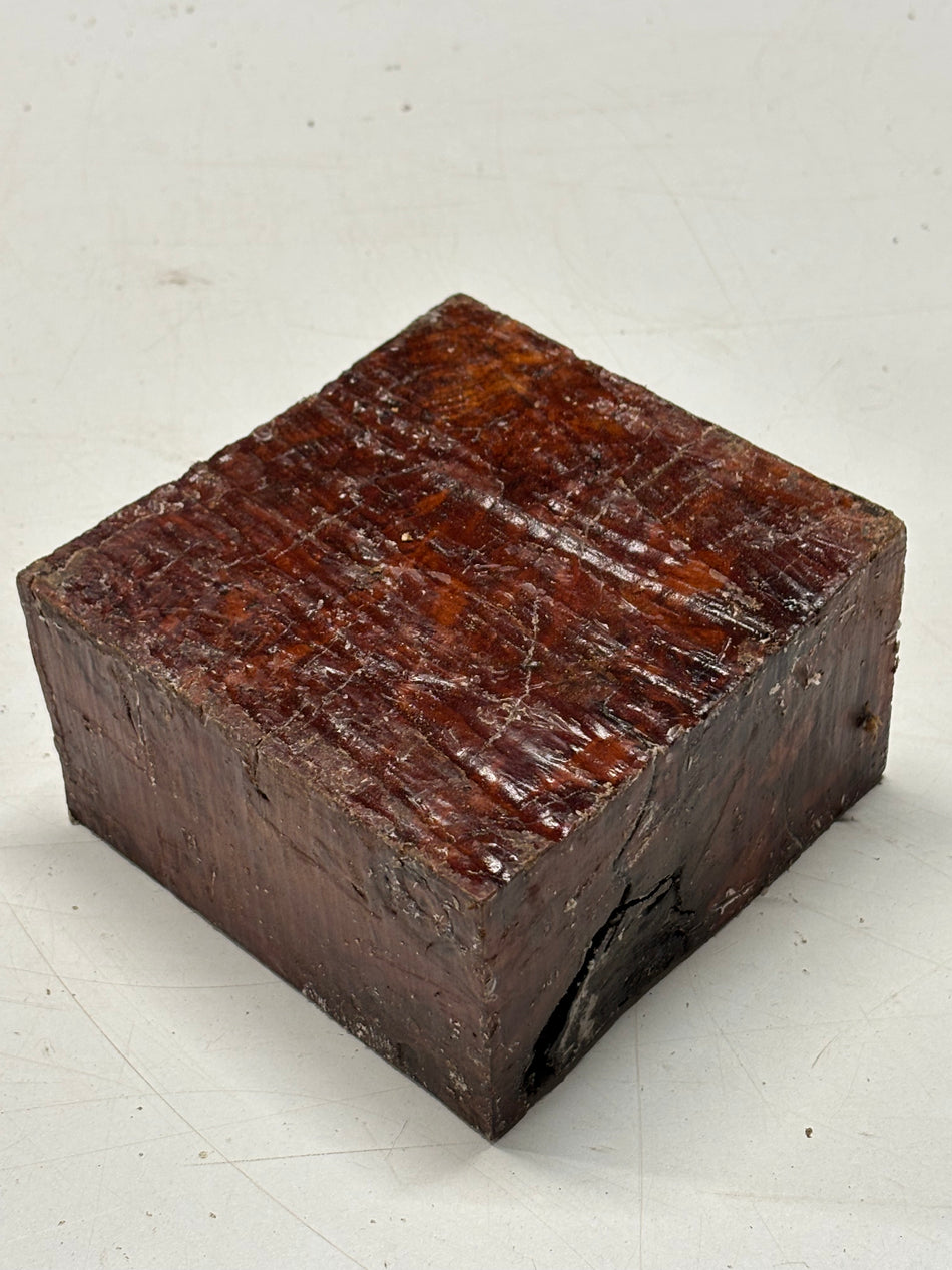 Molinillo de pimienta australiano Red Mallee en blanco 12" x 3" x 3", #23
