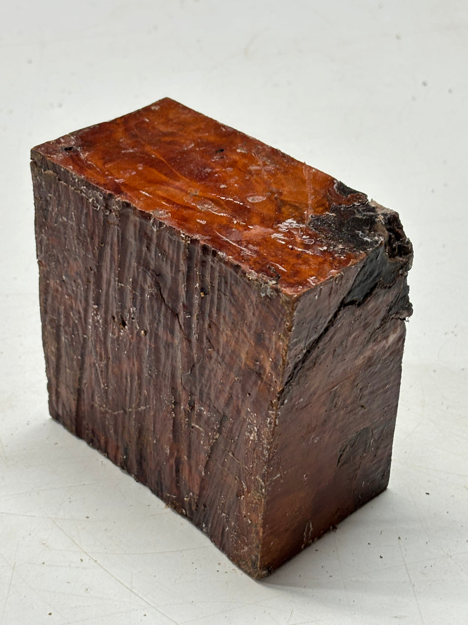 Molinillo de pimienta australiano Red Mallee en blanco 12" x 3" x 3", #23