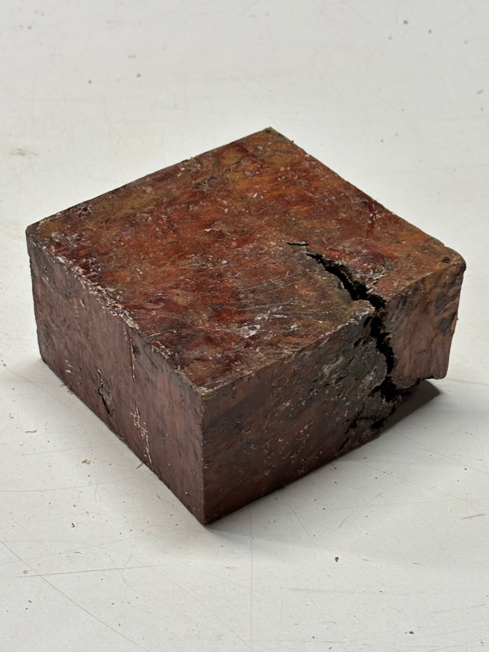Molinillo de pimienta australiano Red Mallee en blanco 12" x 3" x 3", #23