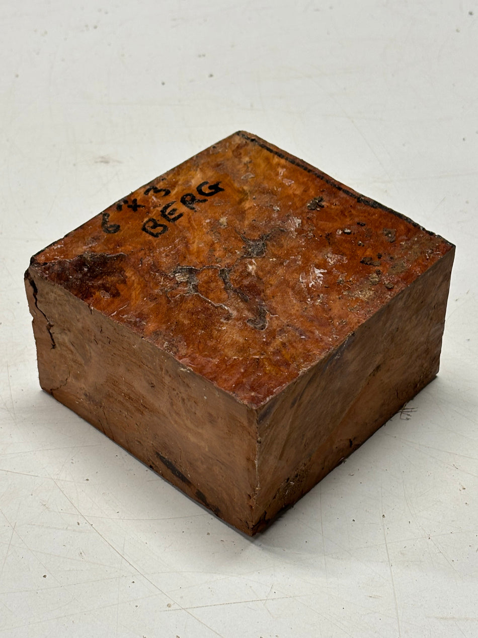 Molinillo de pimienta australiano Red Mallee en blanco 12" x 3" x 3", #23