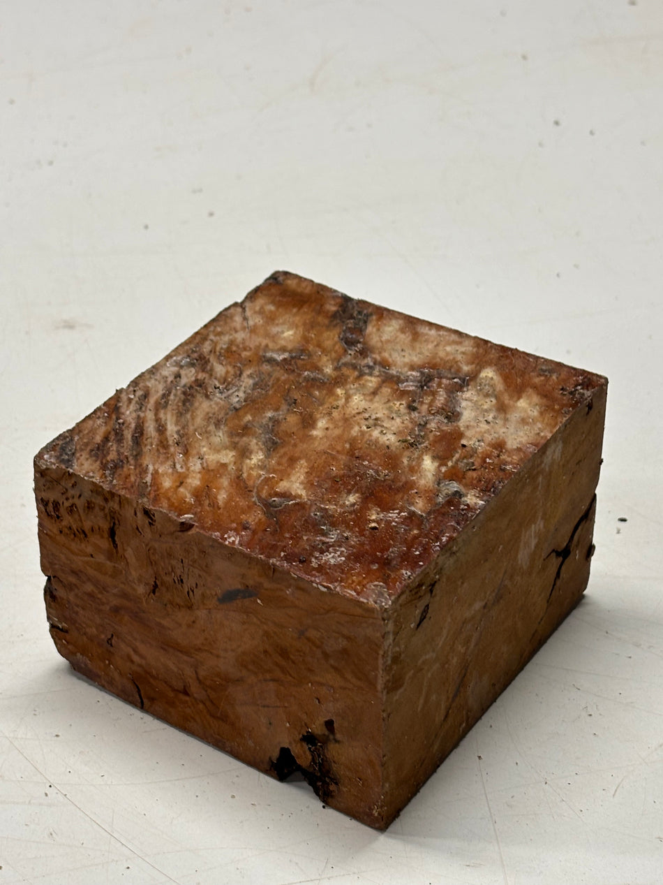 Molinillo de pimienta australiano Red Mallee en blanco 12" x 3" x 3", #23