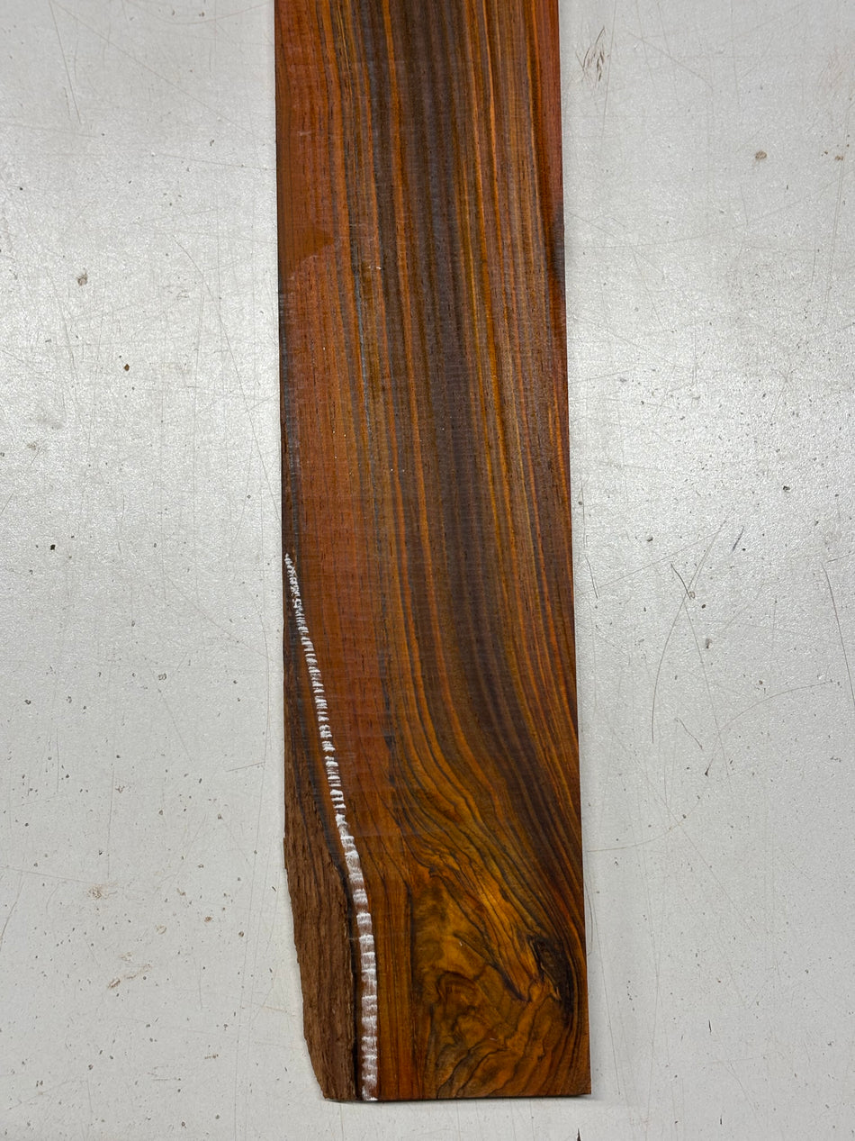 1 Piece, Cocobolo Fingerboard blank  21"x3"x3/8"#5336