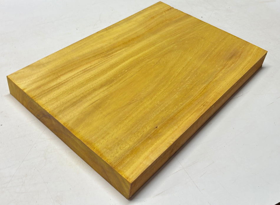 Osage Orange Guitar Body Blank - 21" x 14" x 1-7/8" (Single Piece) #302