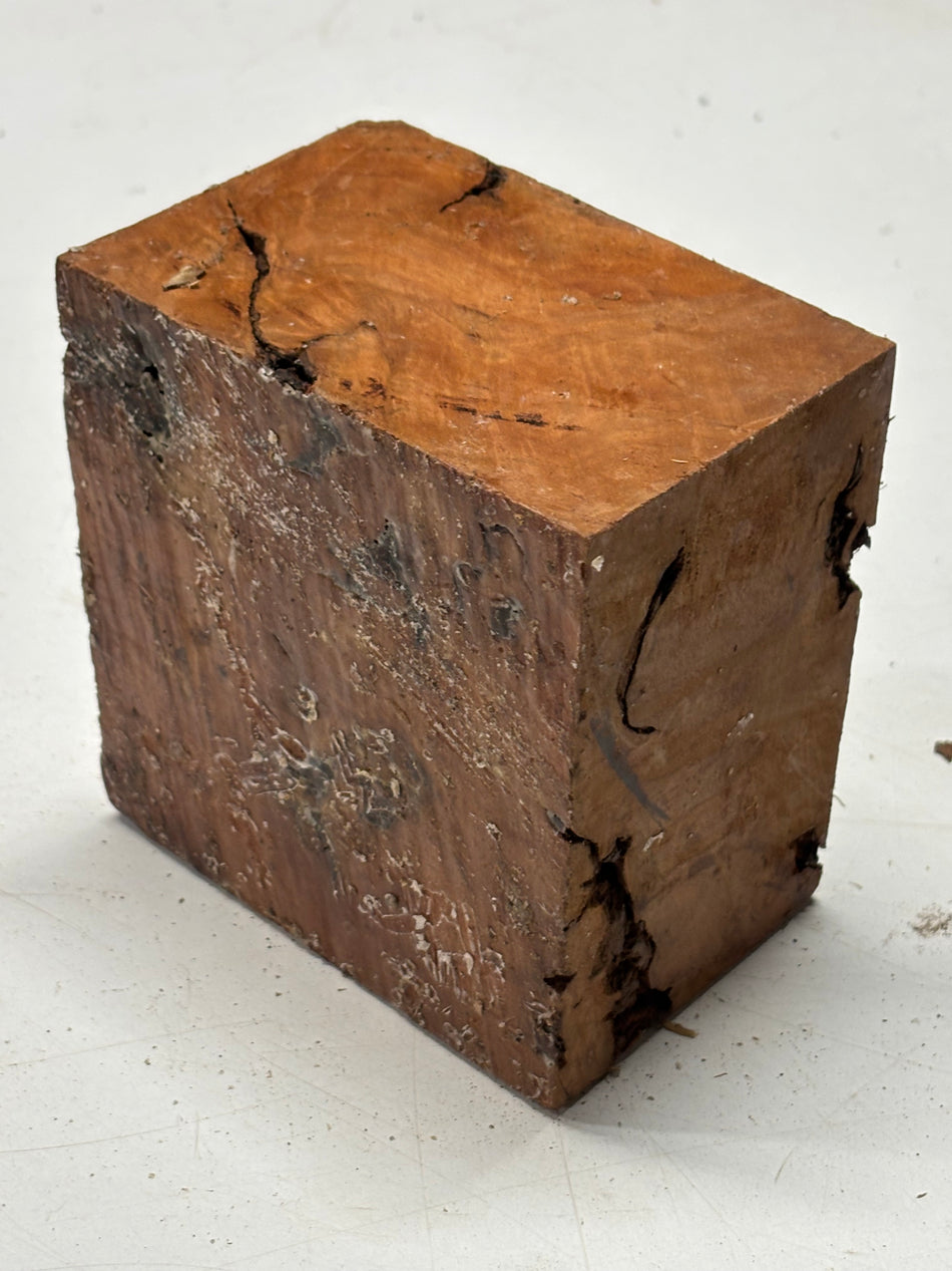 Molinillo de pimienta australiano Red Mallee en blanco 12" x 3" x 3", #23