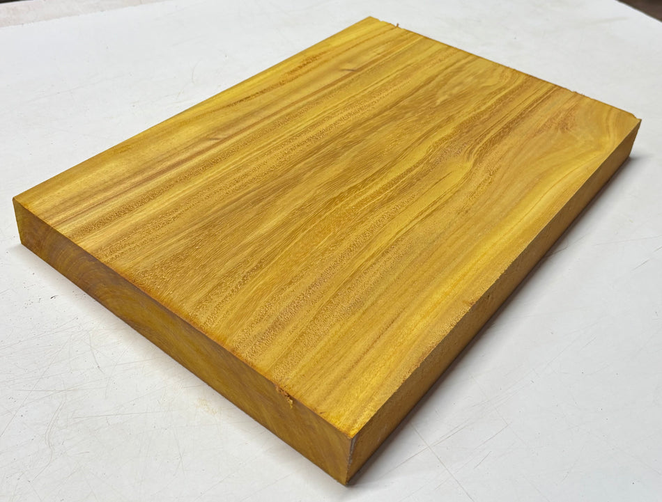 Osage Orange Guitar Body Blank - 21" x 14" x 1-7/8" (Single Piece) #303