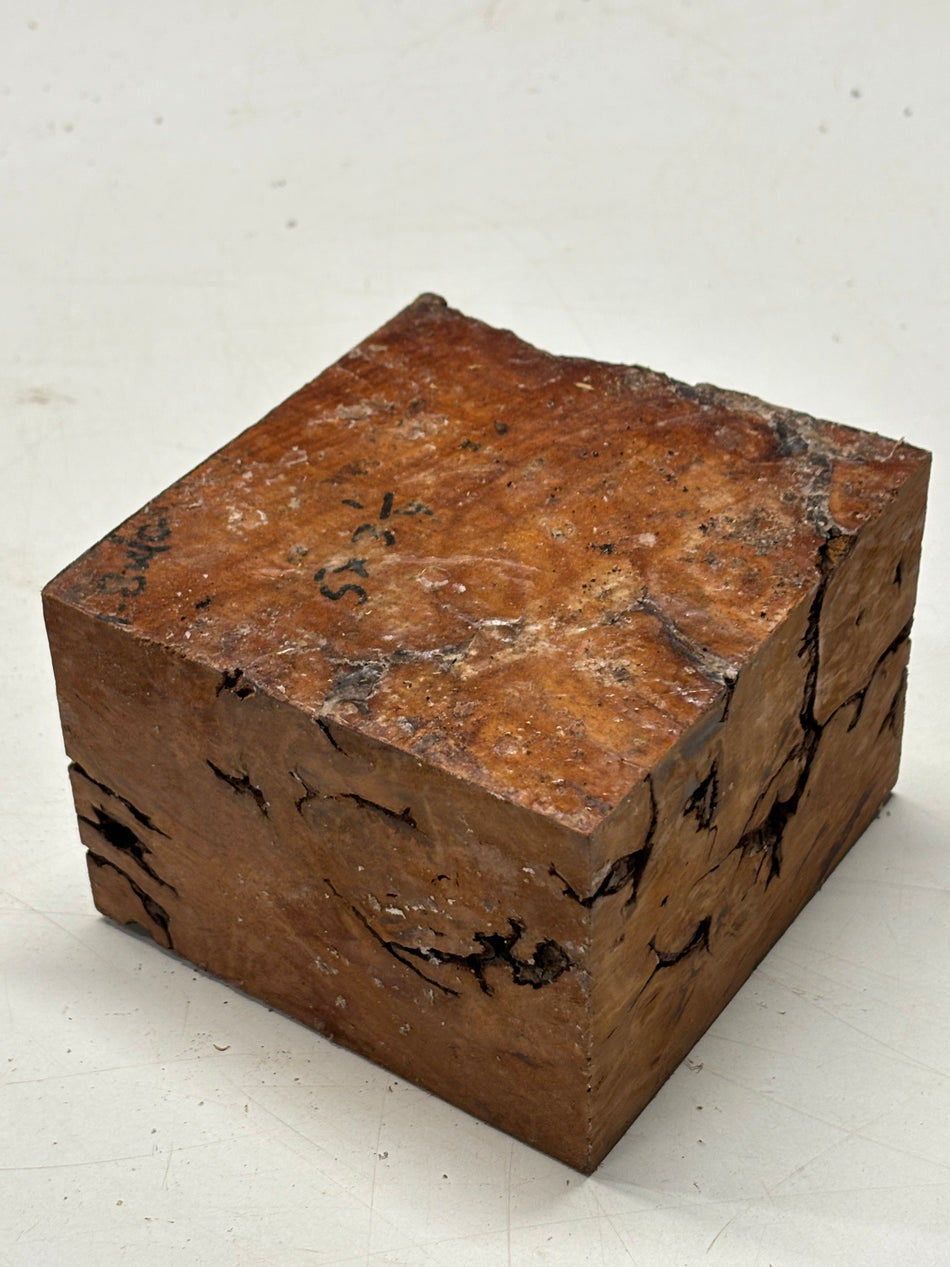 Molinillo de pimienta australiano Red Mallee en blanco 12" x 3" x 3", #23
