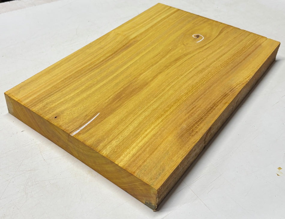 African Swamp Ash/Ayous Guitarra eléctrica/bajo Cuerpo de madera de una sola pieza en blanco 21.5″ x 15-3/4″ x 2-1/4″ #88 