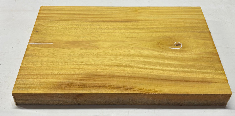 African Swamp Ash/Ayous Guitarra eléctrica/bajo Cuerpo de madera de una sola pieza en blanco 21.5″ x 15-3/4″ x 2-1/4″ #88 