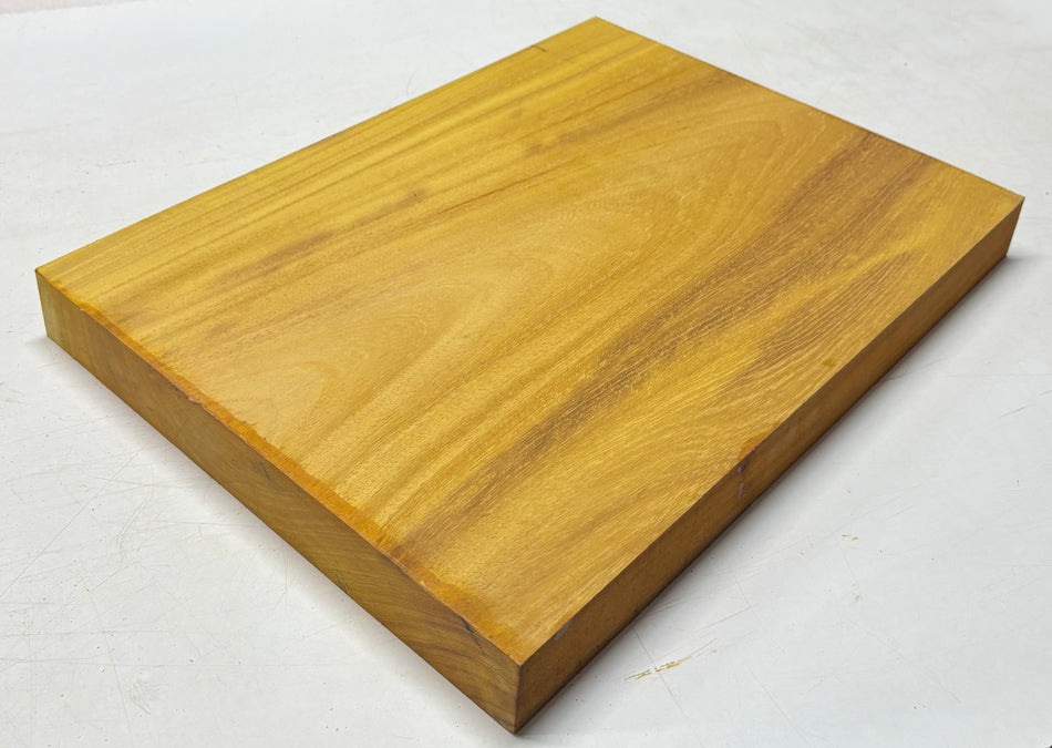 Osage Orange Guitar Body Blank - 21" x 15" x 1-7/8" (Single Piece) #306